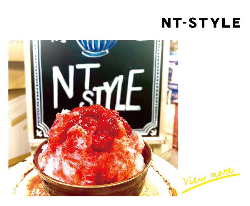 NT-STYLE